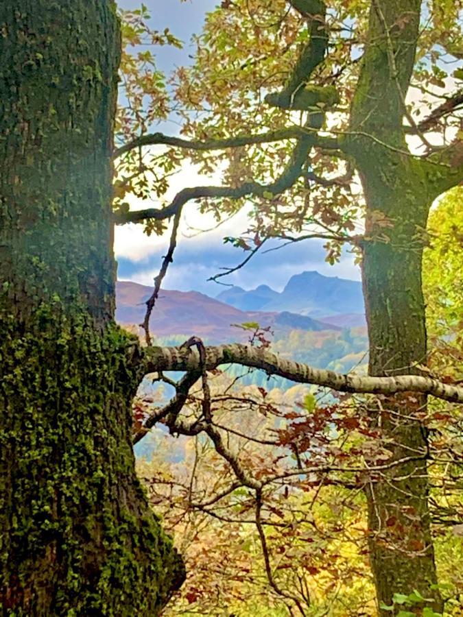 Hillsdale In Maison d'hôtes Ambleside